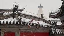 白塔寺雪景太美 献给没出门的朋友们#吃喝玩乐在北京 #历史建筑 #北方的雪  #带你看雪