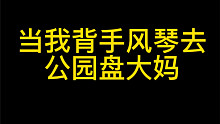 当我背手风琴去公园盘大妈