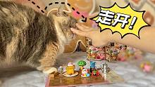 千万在猫的面前拆盲盒！你抢不过它！