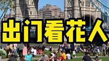 最近英国天气大好，出门俱是看花人