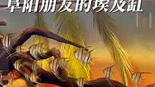 阜阳鱼友投稿：一木成景的南美缸#养鱼日记 #南美缸造景 #鱼缸造景 #南美缸 #埃及神仙鱼 #造景鱼