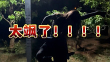 《孤独颂歌》蒙古舞版