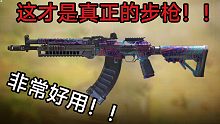 这玩意儿才是真正的步枪！！