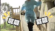 这种每天被熊猫追的工作谁不喜欢？