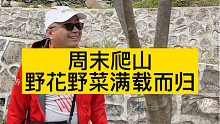 周末爬山 野花野菜满载而归