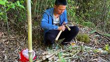春天野笋疯长季节，小伙从拔笋到吃笋，这才是农村美食