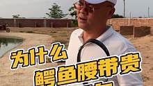 贵有贵的道理，更何况，现在一点儿也不贵了#鳄鱼养殖场 #农村生活 