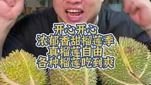 开心开心浓郁香甜榴莲季真榴莲自由各种榴莲吃到爽#泰国#泰国美食