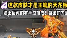 氪金打完力量！这款王魄皮肤才是天花板，手感加成！