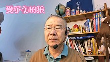 《受了伤的狼》复音口琴F调
