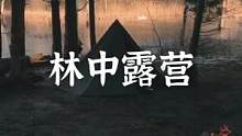 林中惬意时光#露营报告 #户外 #户外露营 #露营 