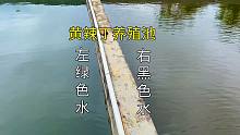 小伙搞黄辣丁养殖，鱼池水的颜色为何差别这么大，水质检测又正常