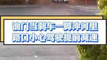 刹车当油门冲进河，车辆驾驶要谨慎..（供稿：宁波交警） #惊险一幕 #交通安全 #遵守交规