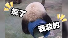 当一只水桶跟熊猫过不去