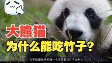 大熊猫为什么能吃竹子？