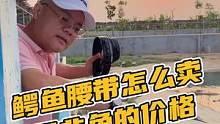 罗非鱼的价格，买一条皮带？#鳄鱼养殖场 #农村生活 