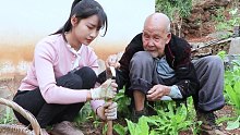 爷孙俩挖了一撮箕折耳根居然是配菜，主角竟然是它