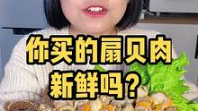 记住这几点，你买扇贝肉再也不会上当啦！#宅家抖出美好生活 #海鲜原产地 #源头好生鲜 #扇贝肉