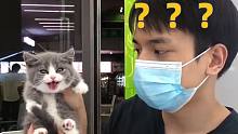 千万不要试图去理解猫的脑回路¹³