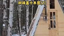 树林盖小木屋露营,野生动物很多（2）。#户外 #户外露营 #户外生活 #户外休闲 #木屋 #木屋建造