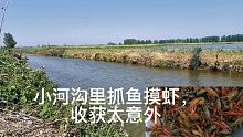 鱼米之乡资源太丰富，小河沟里捉鱼摸虾，真过瘾！