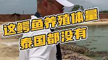 去什么泰国，来海南，你想看的想买的保真的都有了！#鳄鱼养殖场 