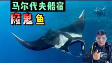 《环球探海记》马尔代夫 第5天：今天终于被我看到传闻中的魔鬼鱼，无比震撼！ #马尔代夫#船宿#魔鬼鱼