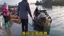 渔民凌晨两三点出海，出海时间长达5小时，能有多少收获呢