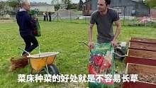 中国人是不是走到哪里都爱种菜？反正我是这样、今年种菜多多少少有点大张旗鼓了、连隔壁邻居都开着大铲车亲