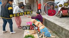 让狗看菜摊的后果，被顺走了钱篮子，引来路人一阵爆笑