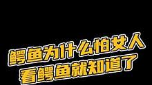这是一条让人胆战心惊的视频…#鳄鱼养殖 