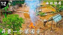 雨林独居（12）：开垦一个菜园子，自给自足 #户外 #野外生活 #野外生存 #野外建造 #隐居生活 