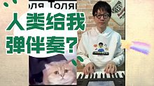 日本大神给萌宠配上钢琴即兴伴奏！