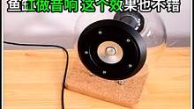 用浴缸制作非常简单的音响，成品简洁大方非常好看，音质也很棒 #音箱 #创意 #制作过程 #科普一下