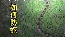 露营防蛇#露营报告 #户外 #户外露营 #防蛇 
