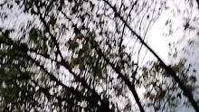 感冒了，鼻音有点重#洛子言 #配音 