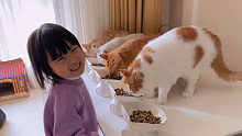 人类幼崽照顾猫咪，猫咪们陪她长大