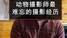 野生动物摄影师Issac分享了自己最为印象深刻的一次拍摄体验：自己摄影时遇上一只被抛弃的小牛，虽然很