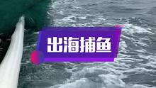 感谢大海包容我没文化，没背景，不是我选择大海，是大海选择了我，让我有一条谋生之路，喜欢看拉大网的朋友