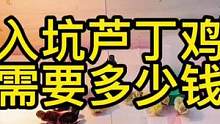 入坑#芦丁鸡 需要多少钱？我给大家出略计算了一下！#人工孵化 #芦丁鸡造景