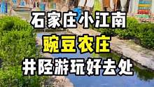 豌豆农庄露营烧烤划竹筏喂萌宠打卡拍照真不错#春游石家庄小江南