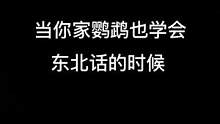 #鹦鹉 #东北话 在那里坐着 突然萌萌问我嗑瓜子吗？哈哈哈哈哈太绝了