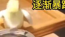 会说方言的鹦鹉能有多离谱，每一个都是戏精#鹦鹉搞笑视频 #专治不开心 #萌宠 