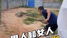 鳄鱼都怕女人，不接受反驳！#农村生活 #鳄鱼养殖 