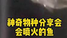 神奇物种分享会，会喷火的鱼 #海洋生物 #重新认识地球