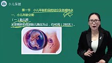 2022年 初级护师 儿科护理学 基础学习班