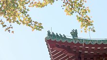 中式建筑寺庙屋檐的一角-实拍视频