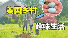 在美国农村生活，后院捡到莫名的蛋，真孵化出来怎么喂呢？
