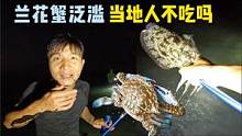 《环球探海记》阿曼 第48天：这里的兰花蟹泛滥，当地人为啥都不吃？#捉螃蟹#真实赶海记录#新农人计划