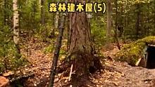 两人户外森林用原木建防空洞木屋（5）。#木屋 #木屋建造 #户外生活 #户外休闲 #户外露营 #庇护